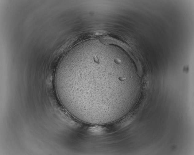 X0000115020269200911091449