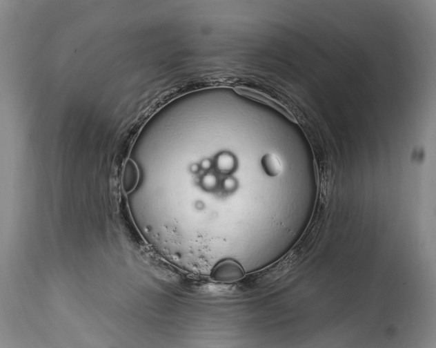 X0000115020270200911091449