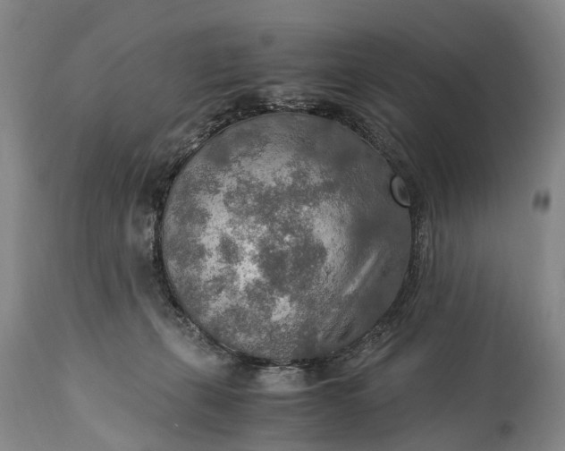 X0000115020271200911091449