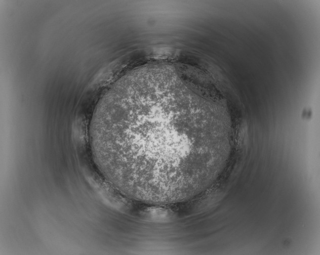 X0000115020272200911091449