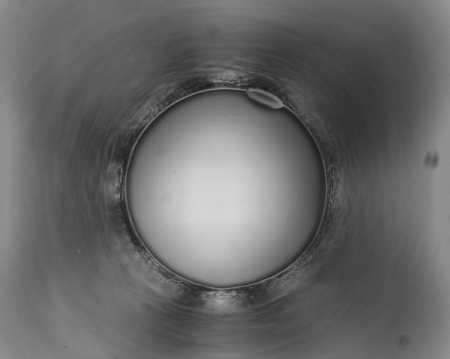 X0000115020273200911091449