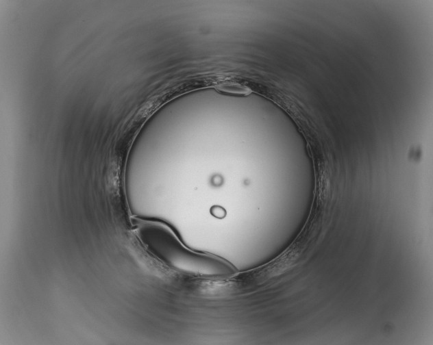 X0000115020274200911091449