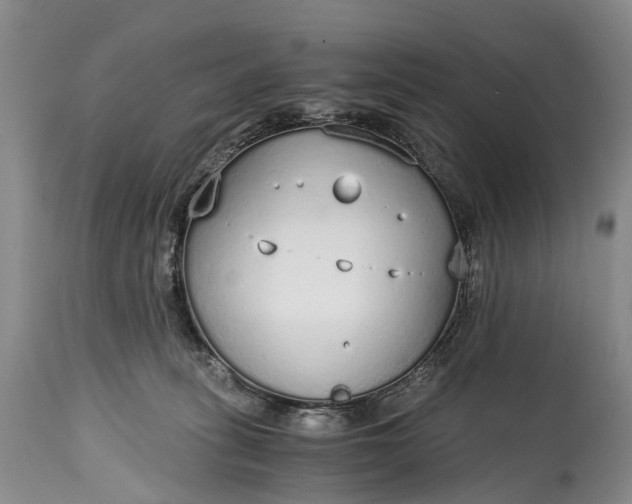 X0000115020275200911091449