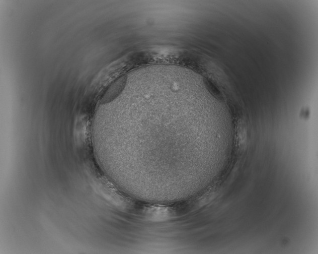 X0000115020276200911091449