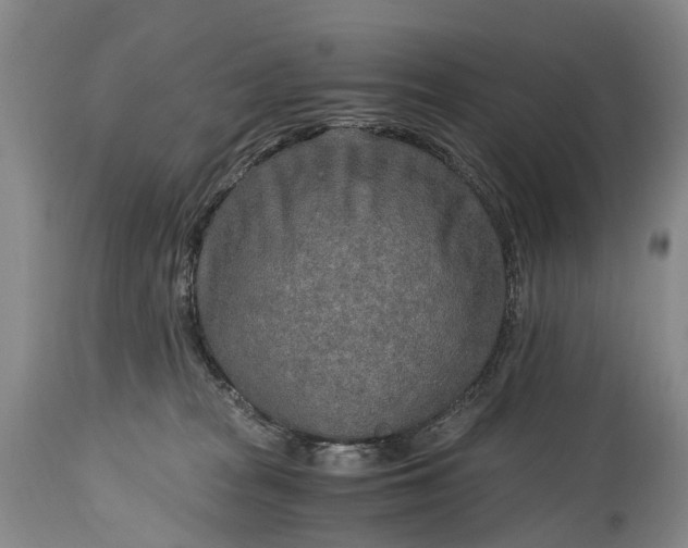 X0000115020277200911091449