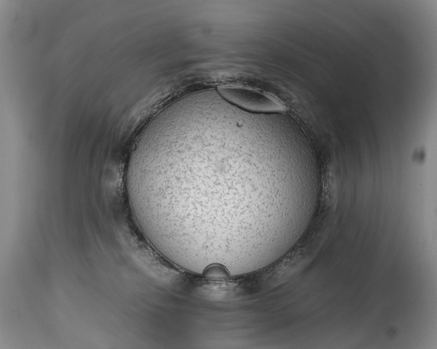 X0000115020278200911091449