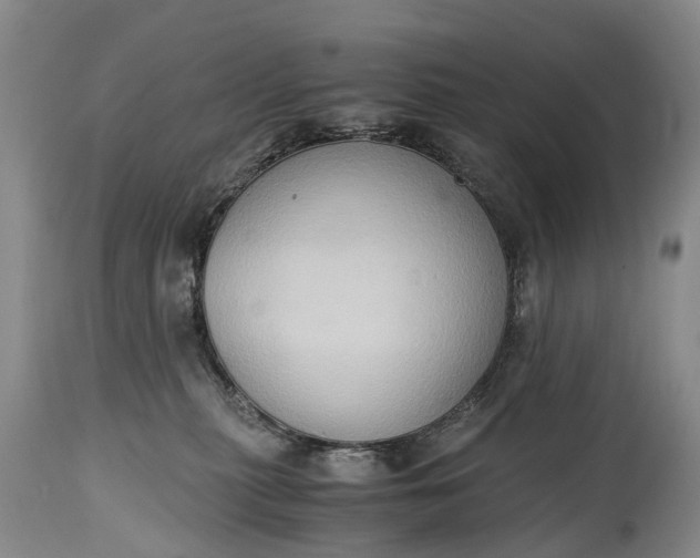 X0000115020279200911091449