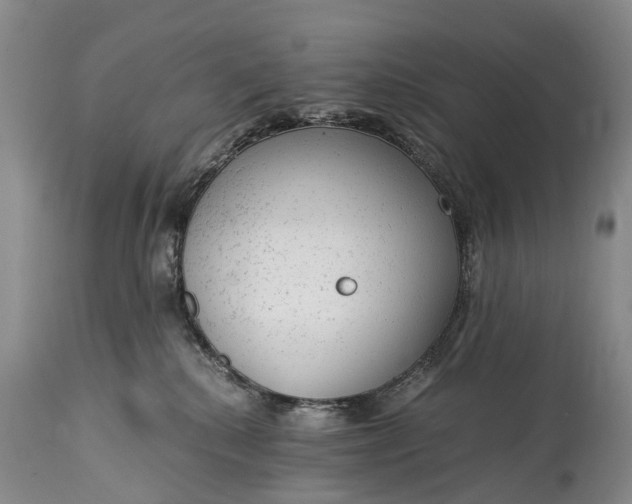 X0000115020280200911091449