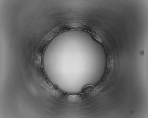 X0000115020281200911091449