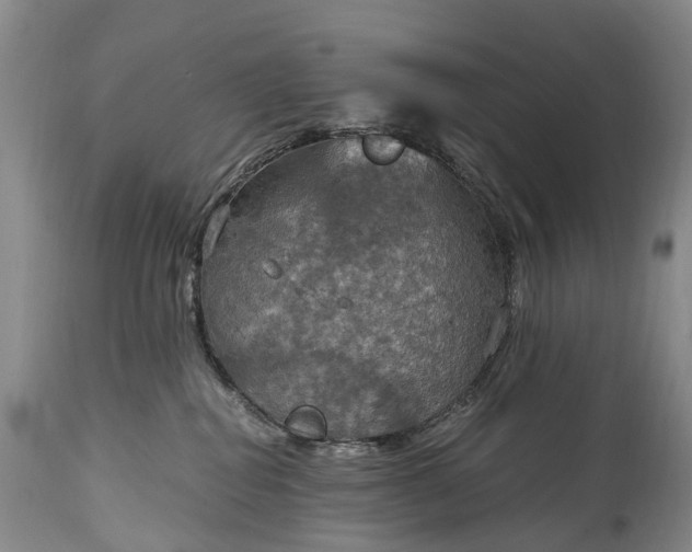 X0000115020282200911091449