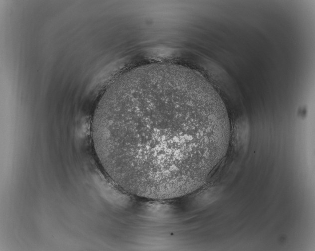 X0000115020284200911091449