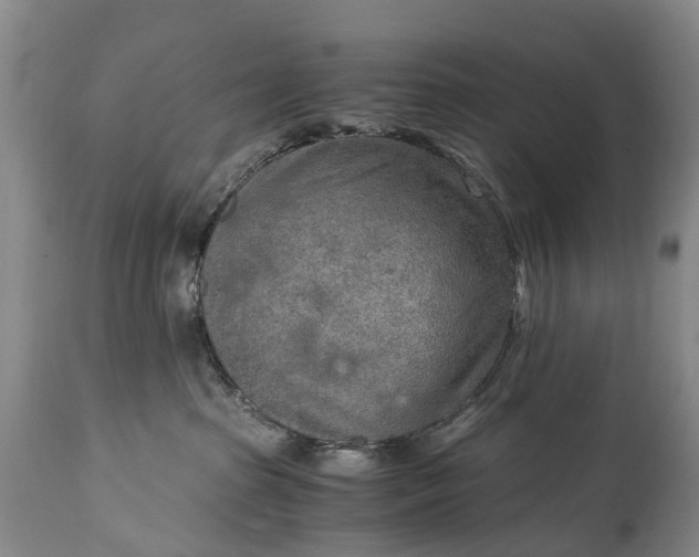 X0000115020285200911091449