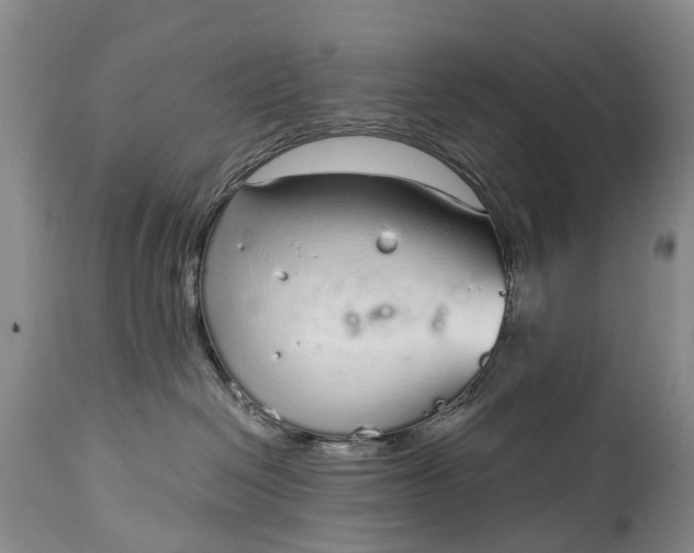 X0000115020286200911091449