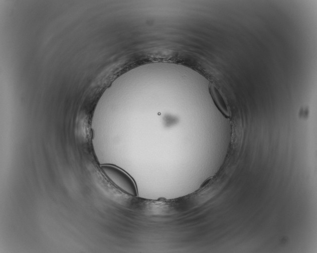 X0000115020287200911091449