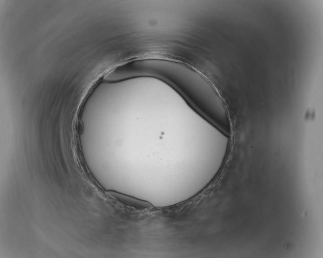 X0000115020289200911091449