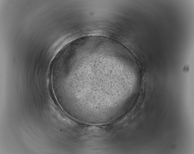 X0000115020290200911091449