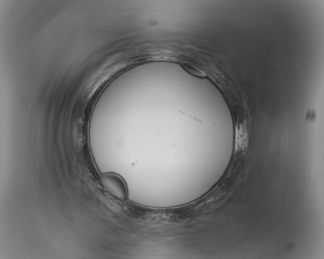 X0000115020291200911091449