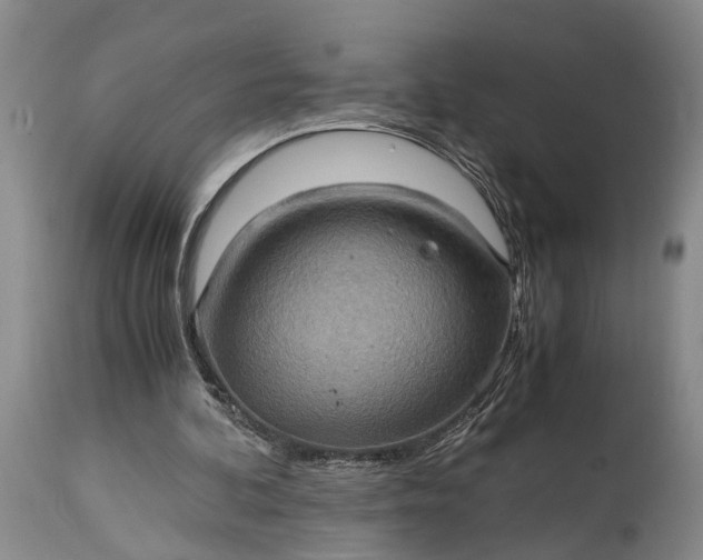 X0000115020292200911091449