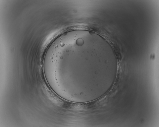 X0000115020293200911091449