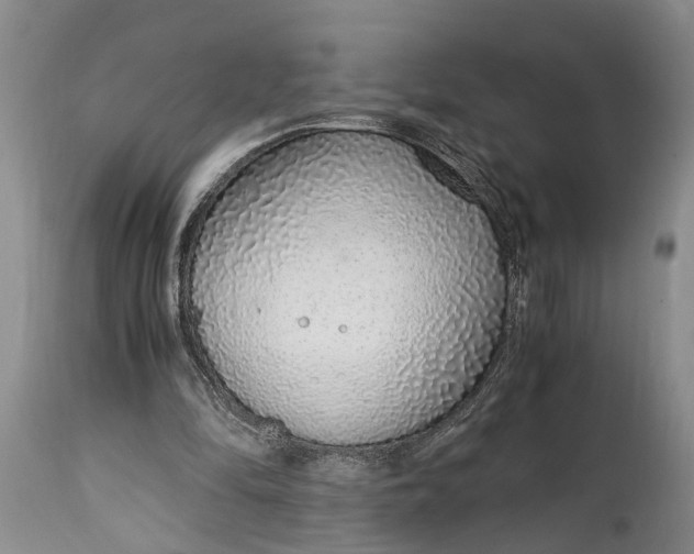 X0000115020294200911091449