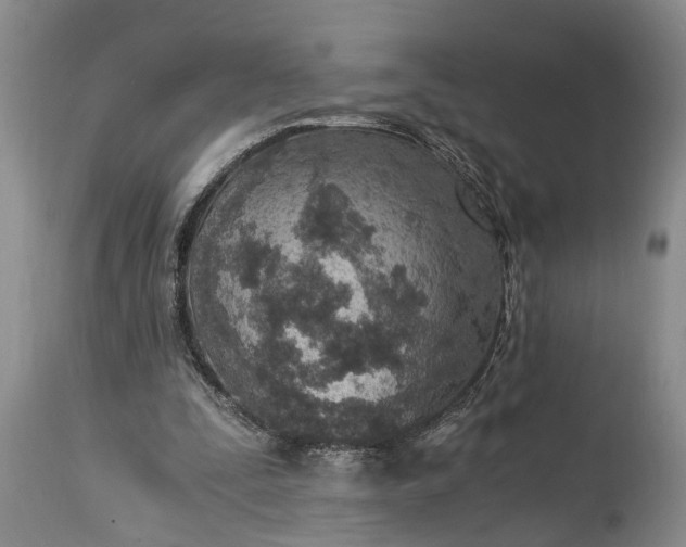 X0000115020295200911091449