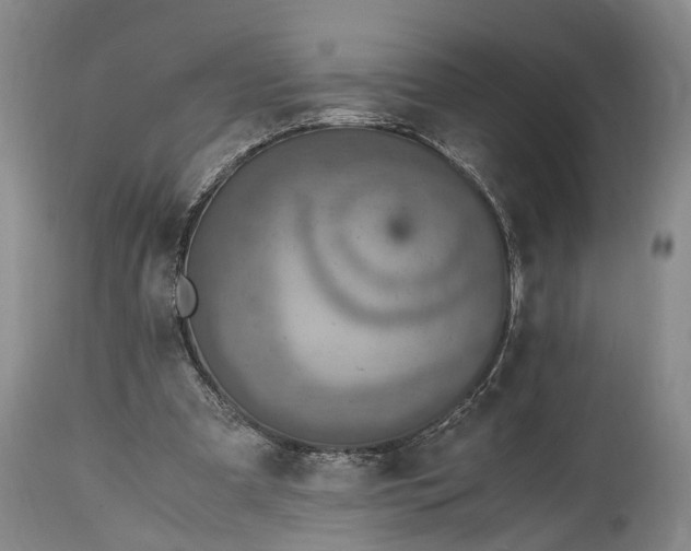 X0000115020297200911091449