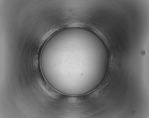 X0000115020298200911091449