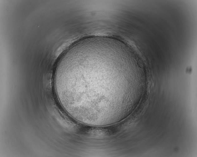 X0000115020299200911091449