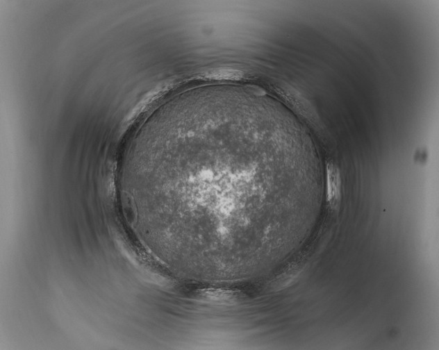 X0000115020300200911091449