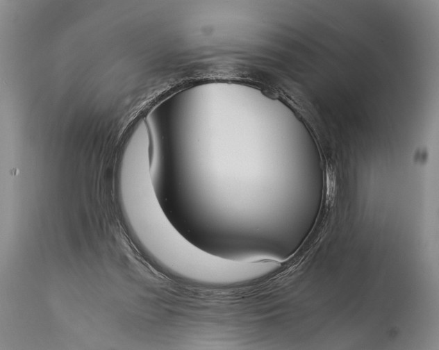 X0000115020301200911091448