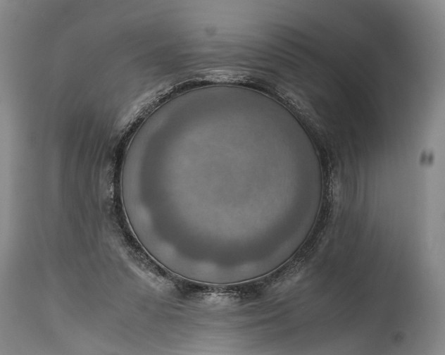 X0000115020303200911091448