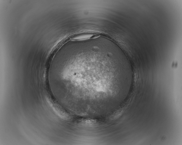 X0000115020304200911091448