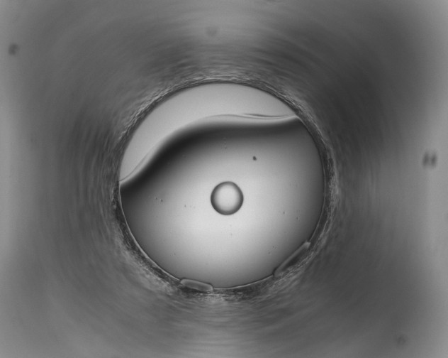 X0000115020305200911091448