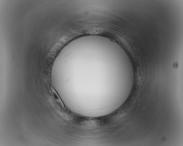 X0000115020307200911091448