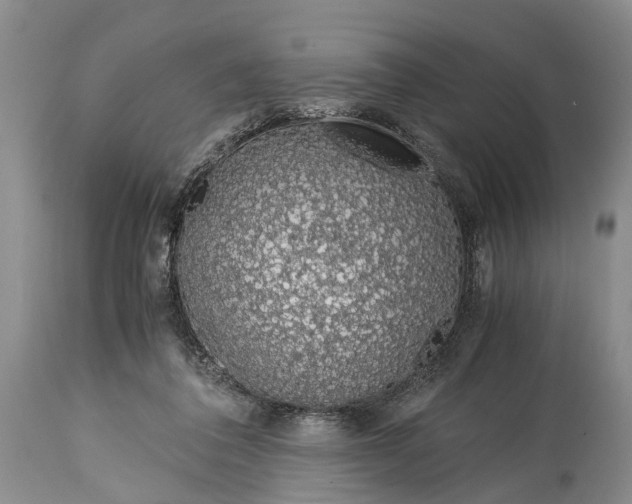 X0000115020308200911091448