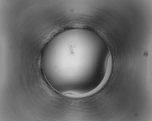 X0000115020309200911091448