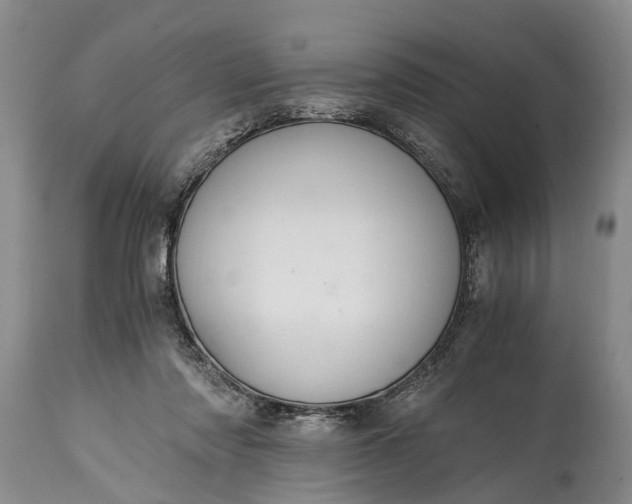 X0000115020310200911091448