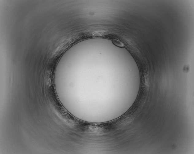 X0000115020311200911091448