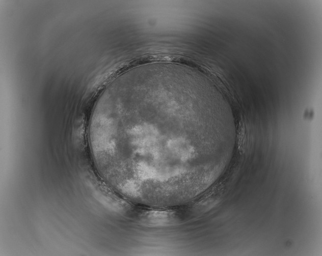 X0000115020314200911091448