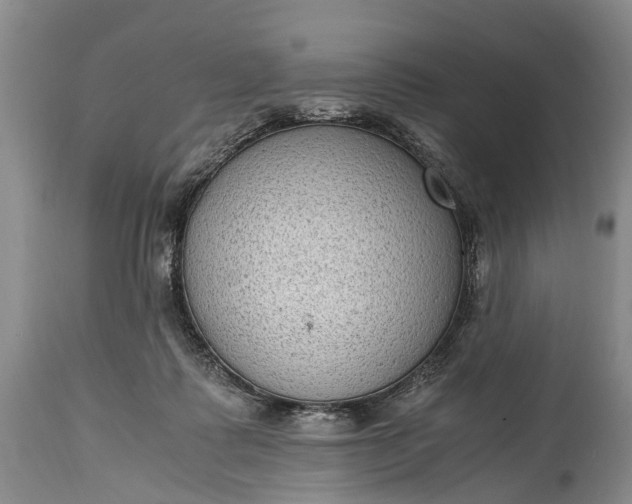 X0000115020315200911091448