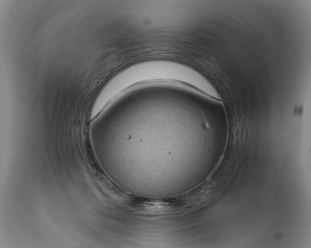 X0000115020316200911091448