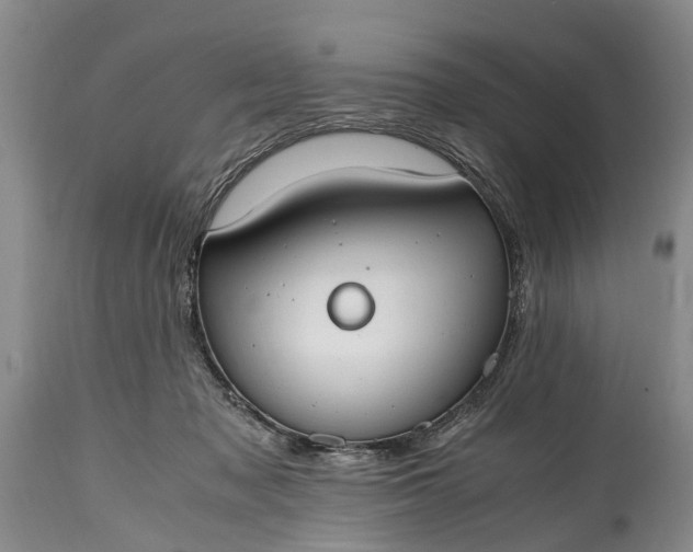 X0000115020317200911091448