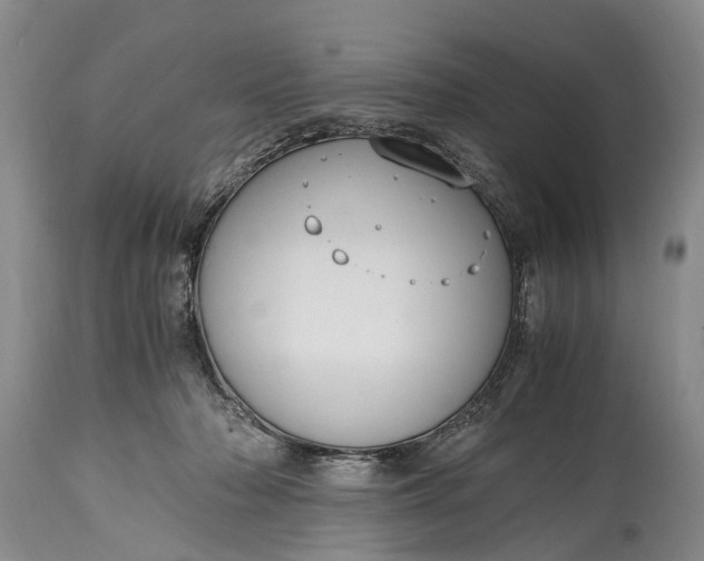 X0000115020318200911091448