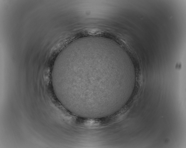 X0000115020319200911091448