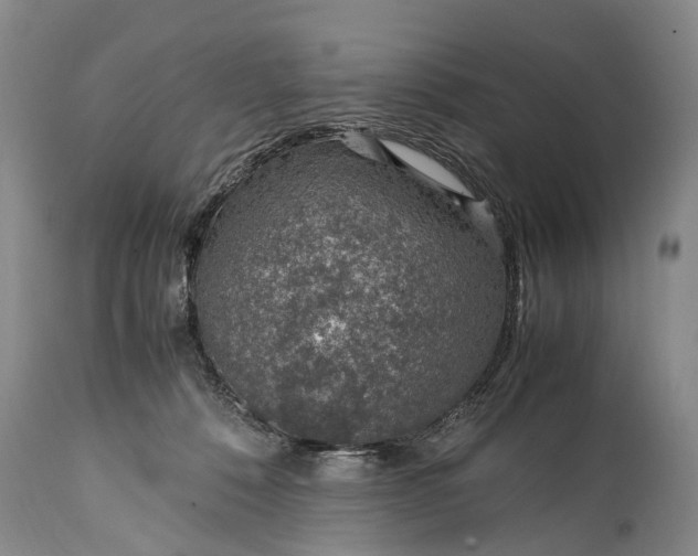 X0000115020320200911091448