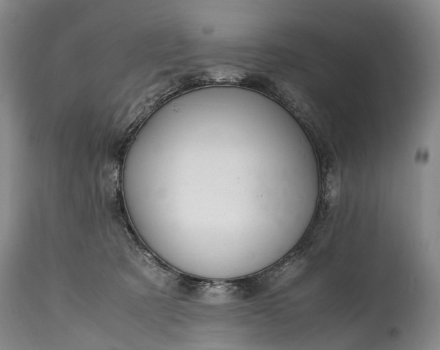 X0000115020321200911091448