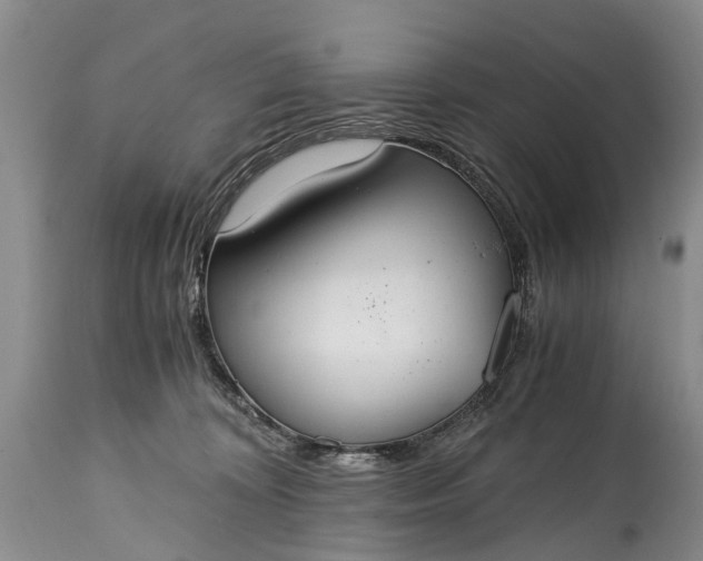 X0000115020324200911091448