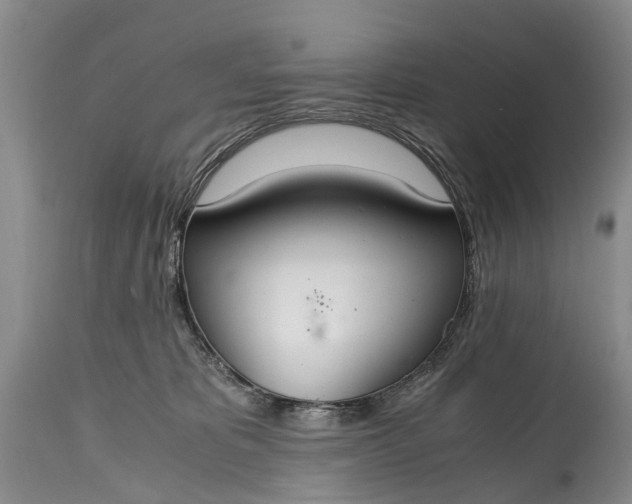 X0000115020325200911091448