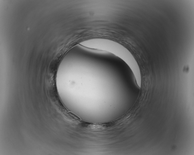 X0000115020327200911091448