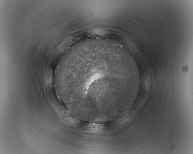 X0000115020328200911091448